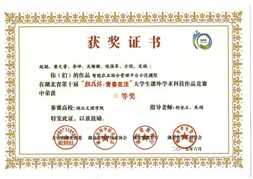 湖北省第十届挑战杯获奖证书